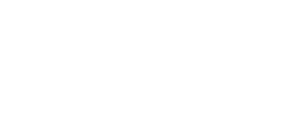 light logo